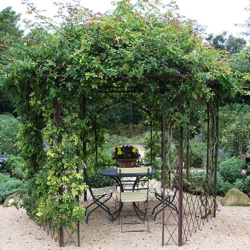 A slim metal gazebo that has been overgrown by lovely roses and vines. When in bloom the gazebo is a fragrant spot just bursting with color.