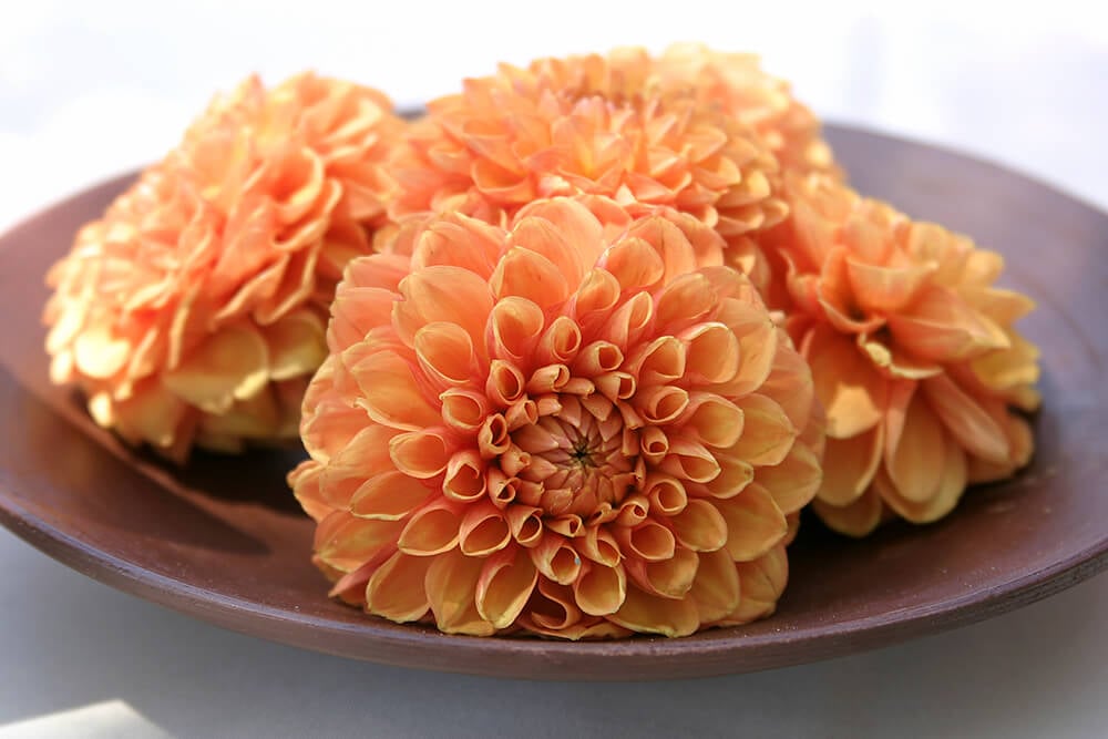 33 Extravagant Floral Arrangements for Your Dining Table