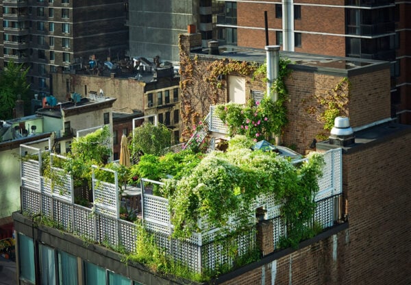 75 Home Design Ideas You'll Love - March, 2026 | Houzz - Green Roof Ideas For Apartment Buildings