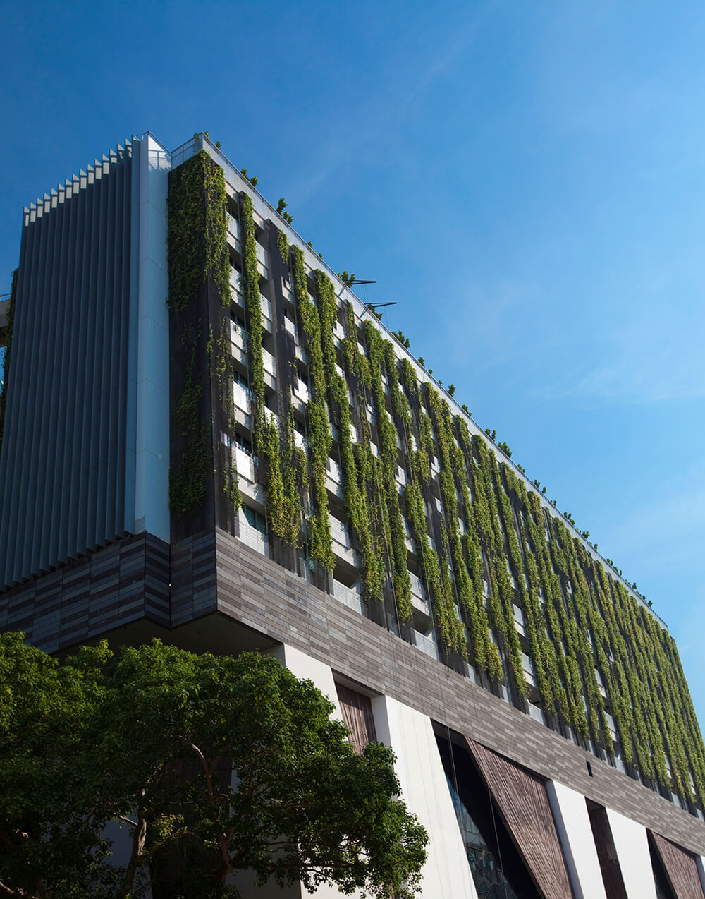 View of 18 Spectacular Living Roofs in Detail - ArchDaily