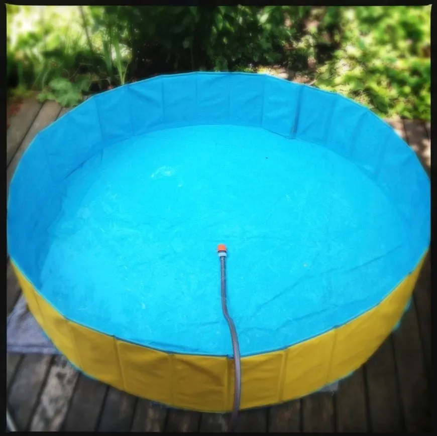 17 Cool Kids Pools