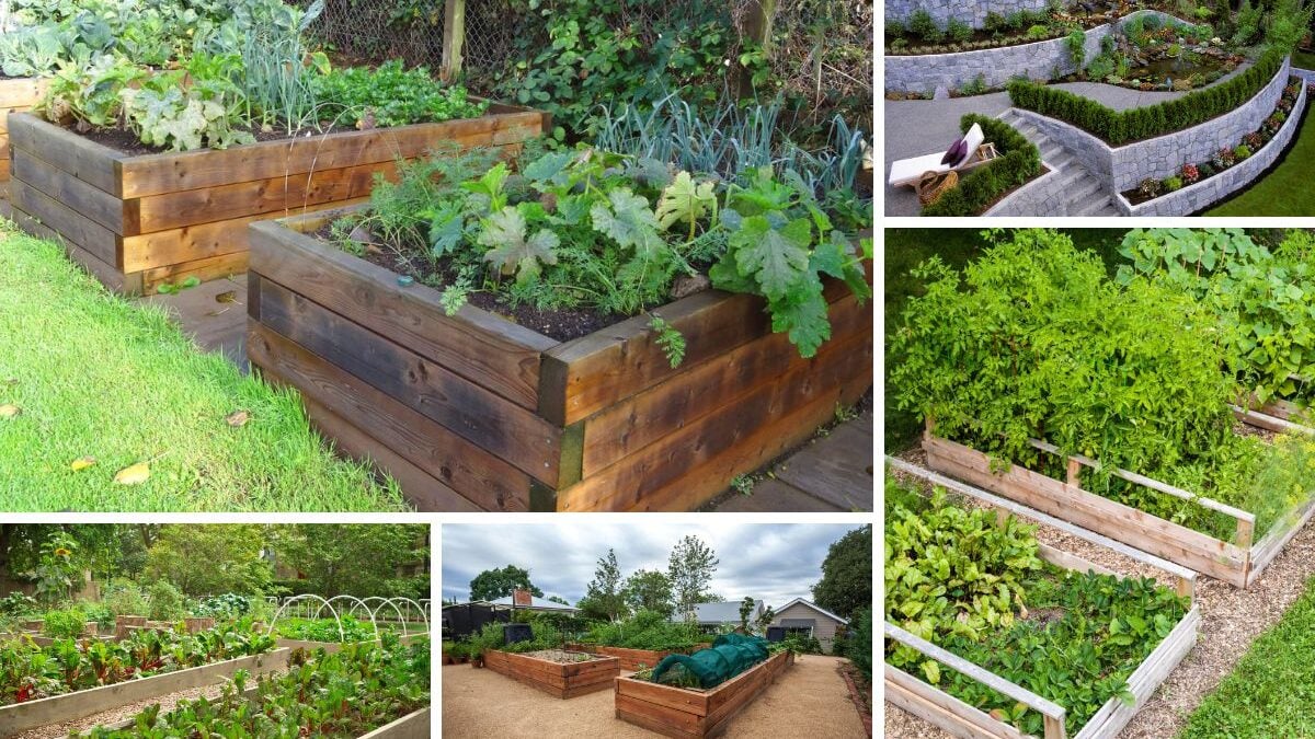 Raised Backyard Vegetable Garden