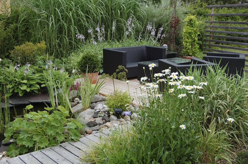 This fantastic pondside garden introduces the qualities of a wild marsh to the backyard. You can recreate different ecosystems in your yard with the right combination of plants. This fantastic pondside garden introduces the qualities of a wild marsh to the backyard. You can recreate different ecosystems in your yard with the right combination of plants.