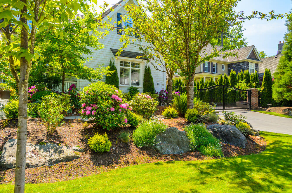 Trees and grasses are the most easy to maintain natural ornaments you can put in your front yard. Add a few large rocks and blossoms to give a simple yet creative design.