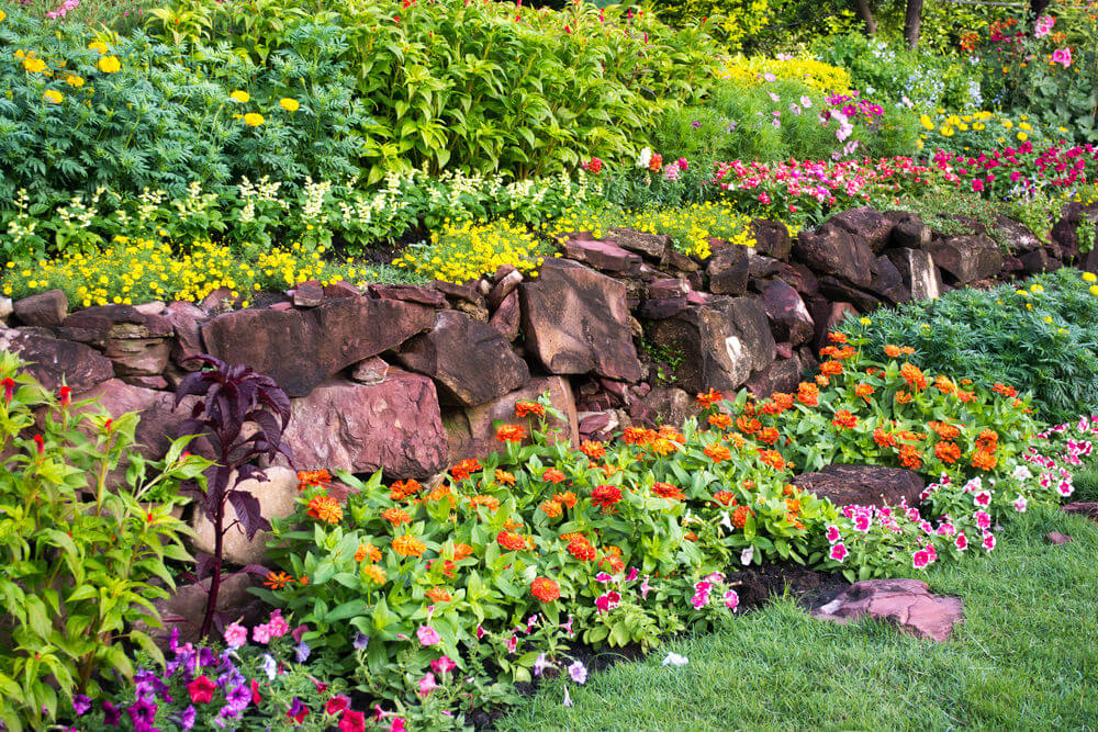 Daisies, marigolds and petunias are among the blossoms that give life to these rubble stones.