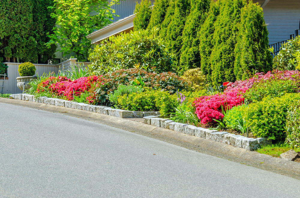 Potted shrubs. brick stones, petunias, pine trees and other green shrubs beautifully cover the view of the house.