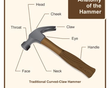 Diagram showing the different parts of a hammer