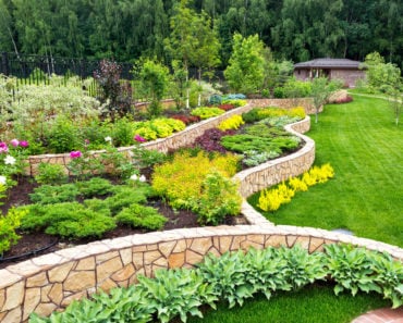 Large landscaped backyard with lawn and terraced gardens