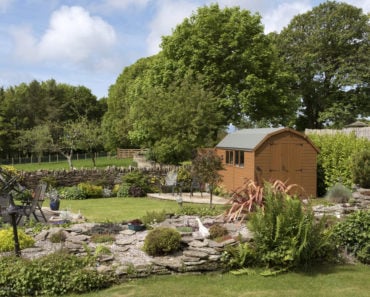 Nice shed in landscaped backyard