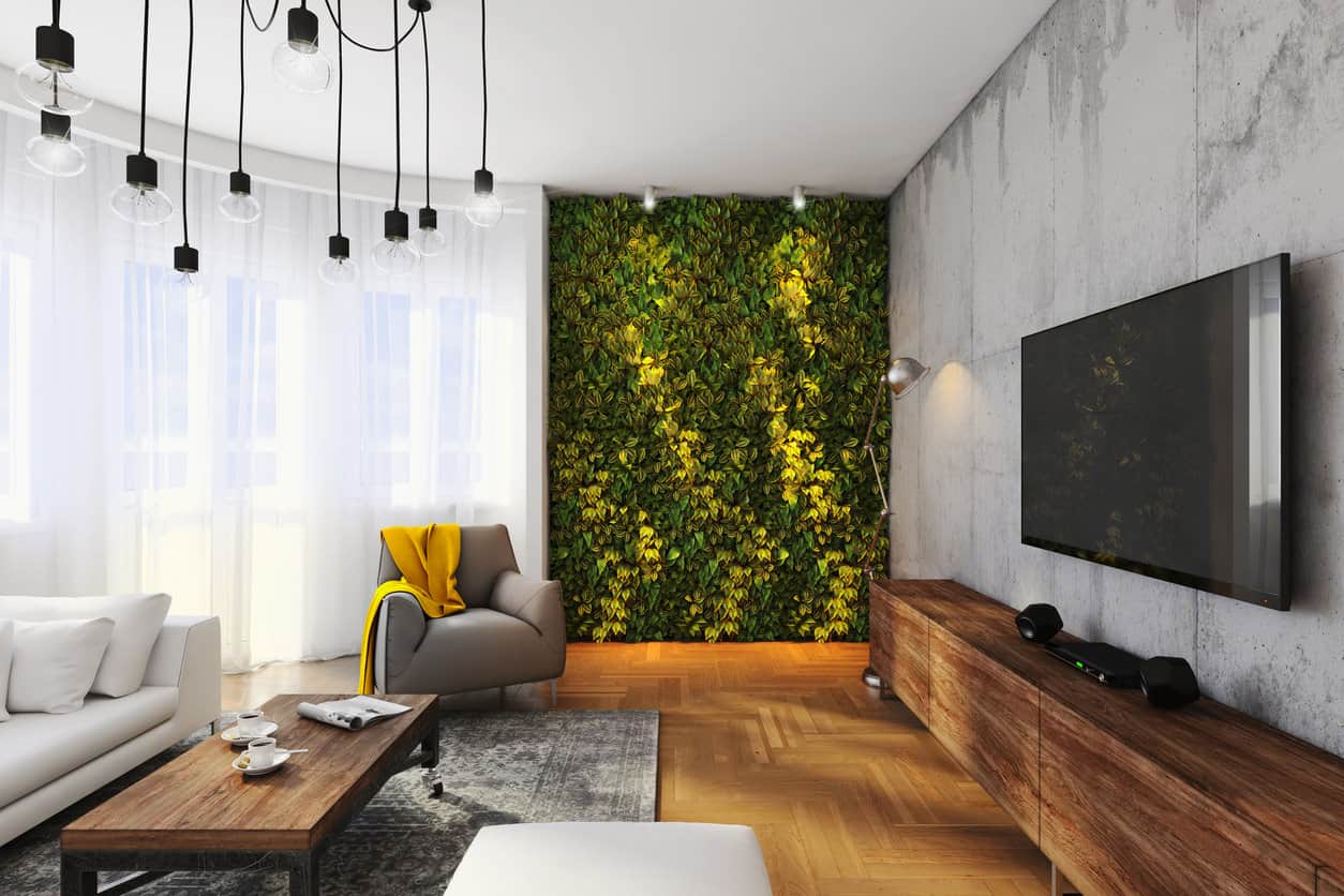 Close up of green plant wall in modern living room.