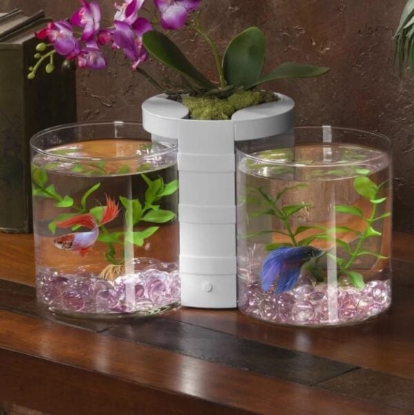 22 Different Types of Fish Tanks (Buying Guide)