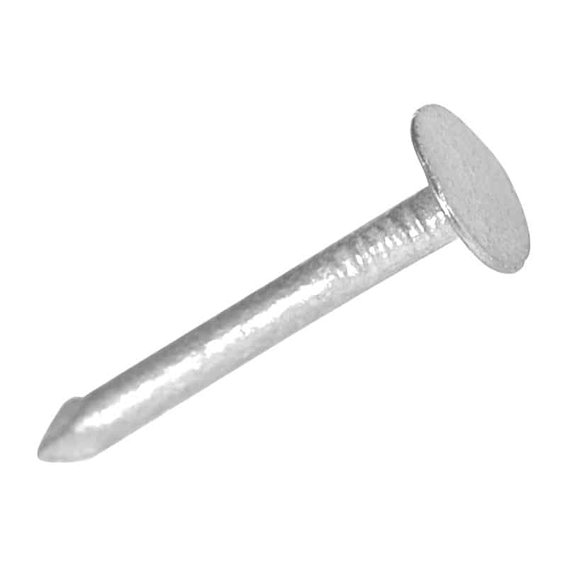 Clout head nail.