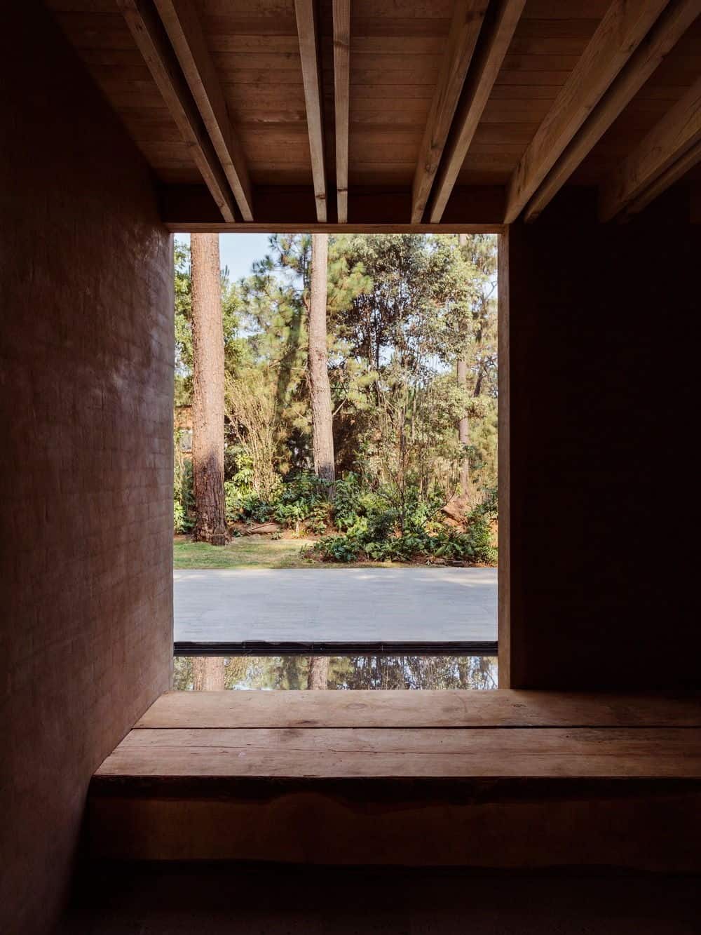 Doorway of the house showing the landscaping outside.