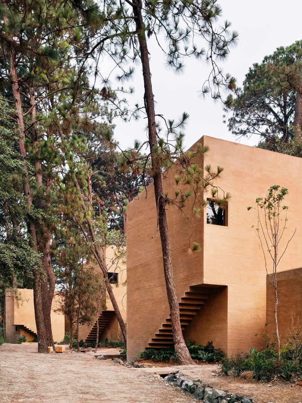 Another outdoor view of the house showcasing its walkways surrounded by the magnificent trees.