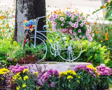 A garden with lots of flowers and an old, white bicycle used as a decoration.