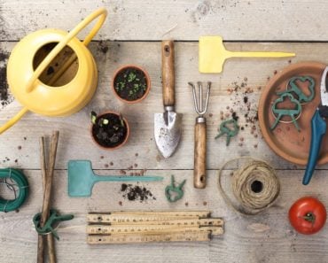A collection of gardening tools that include a sprinkler, small rake, shears, and snips, among others.