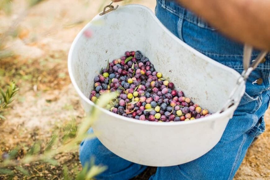 32 Different Types of Buckets