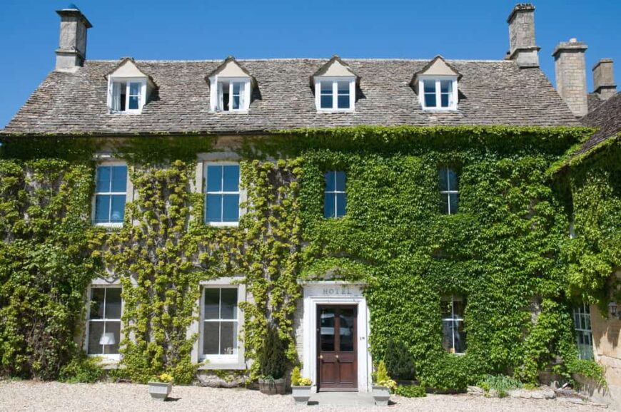31 Examples of Ivy-Covered Houses