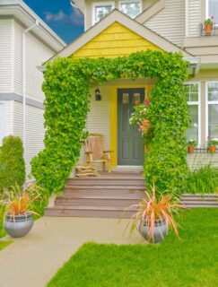 32 Examples of Ivy-Covered Houses – Home Stratosphere
