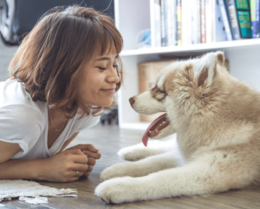 Pet friendly flooring for pet owners.