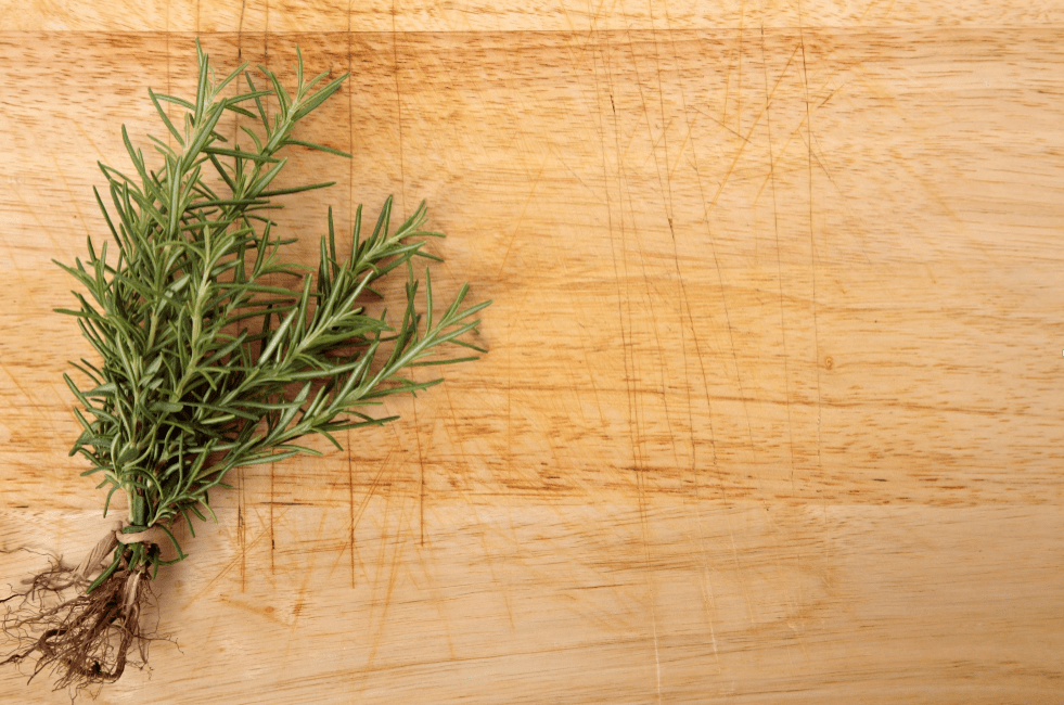 Rosemary plant on a wooden table.