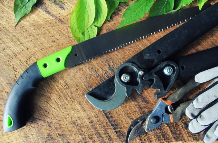 17 Different Types of Tree Trimming Tools