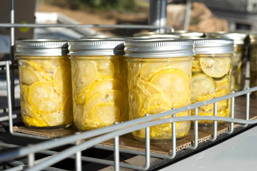 Jars containing yellow squash pickles.