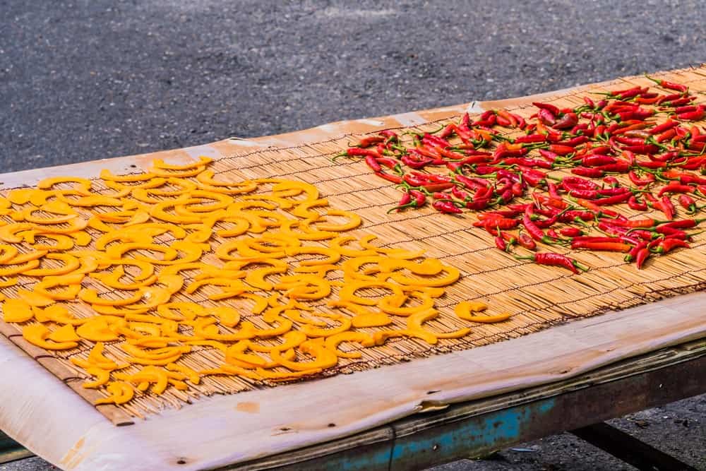 Dehydrated slices of yellow squash spread out on a dehydrating mat outdoors.
