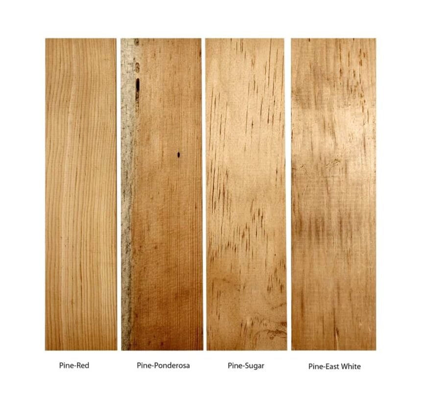17 Different Types of Pine Wood