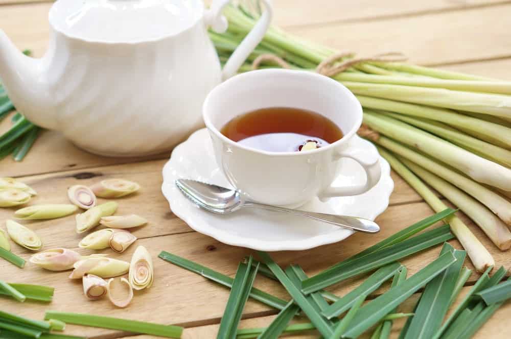 Chamomile flower tea