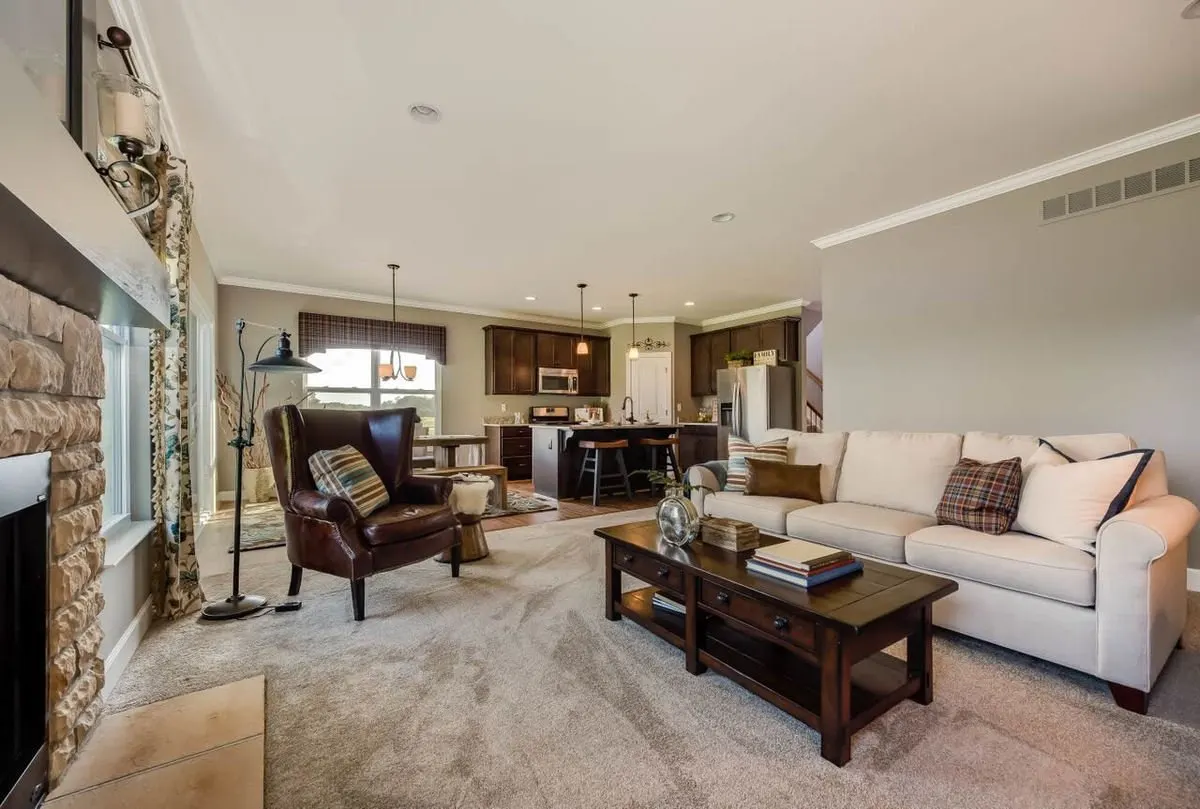 101 Traditional Living Room Ideas (Photos)
