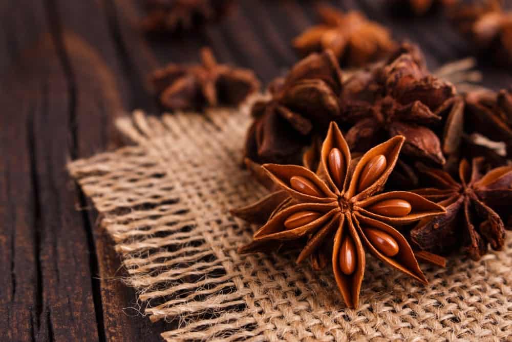 Flower Shaped Anise Spice