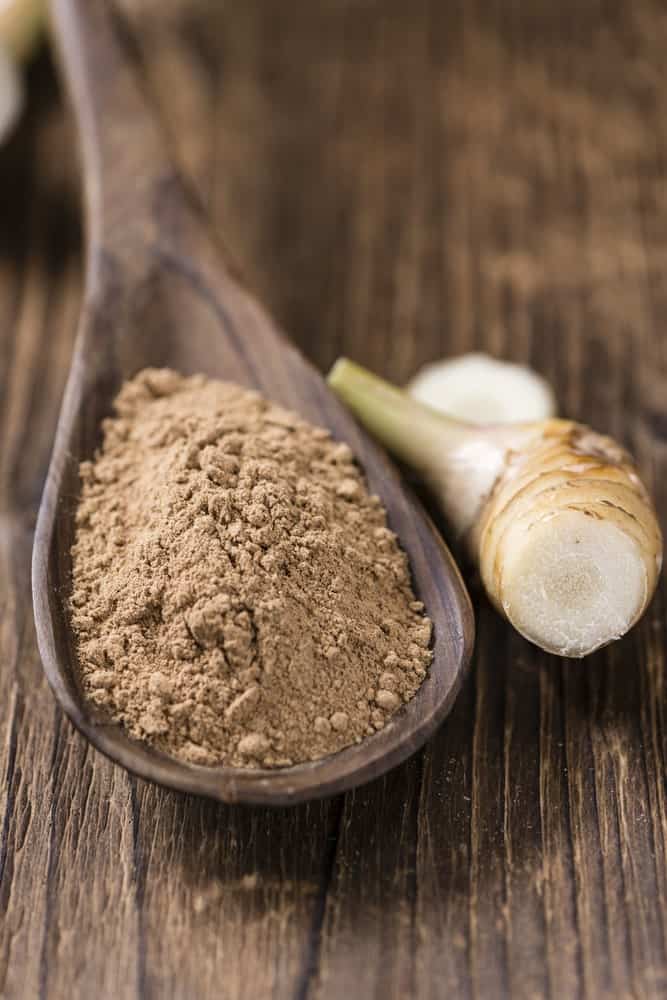Galangal Root Powder in a Wooden Spoon
