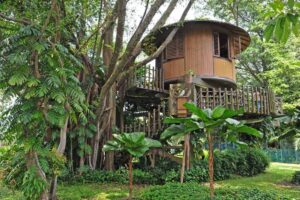 13 Different Types of Round Houses from Around the World – Home ...