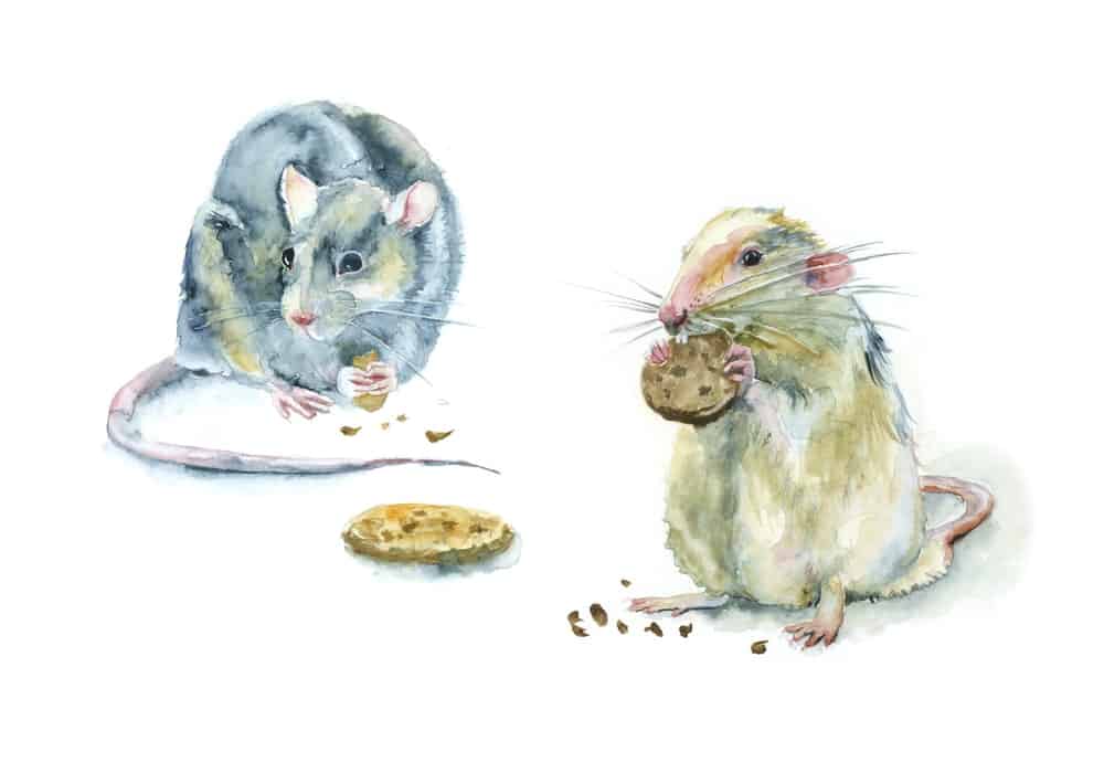 A watercolor painting depicting to mice