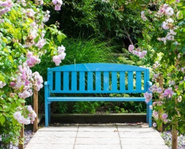 A painted garden bench
