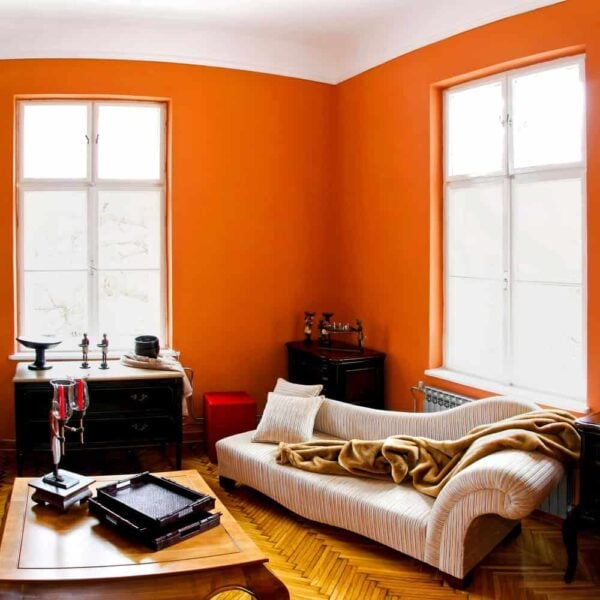 40 Orange Living Room Ideas (Photos)