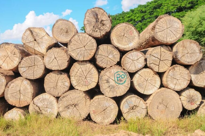 10 Different Types Of Teak Wood 10-different-types-of-teak-wood