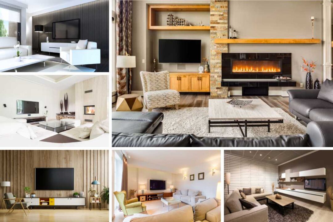 60 Living Rooms with a TV (Pictures)