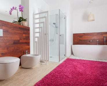 Red carpet in bright bathroom