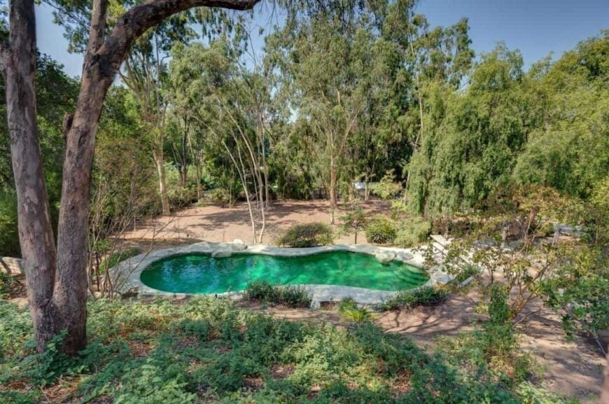 A kidney-shaped swimming pool set at the back of the property, surrounded by mature tall trees and green plants.