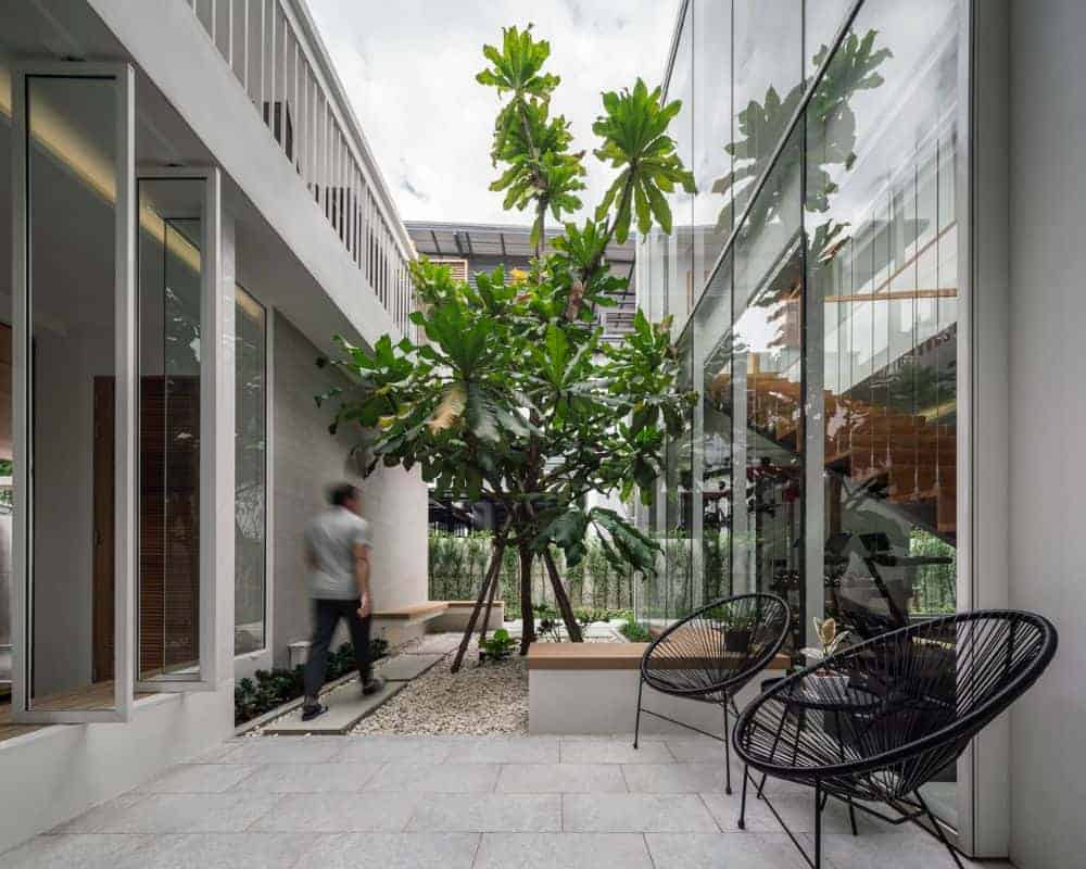 This is a close look at the inner courtyard of the house surrounded by the glass walls of the house adorned with a large tree in the middle planted on pebbled soil with a walkway and a patio area.