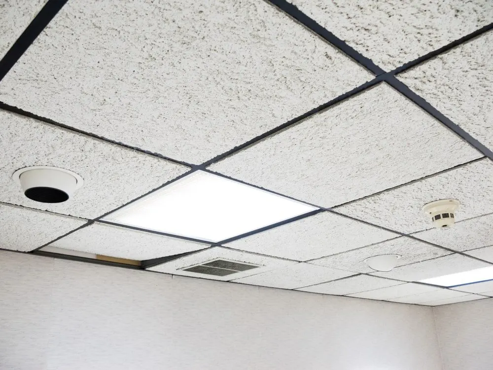 What Is The Purpose Of Drop Ceiling | Homeminimalisite.com