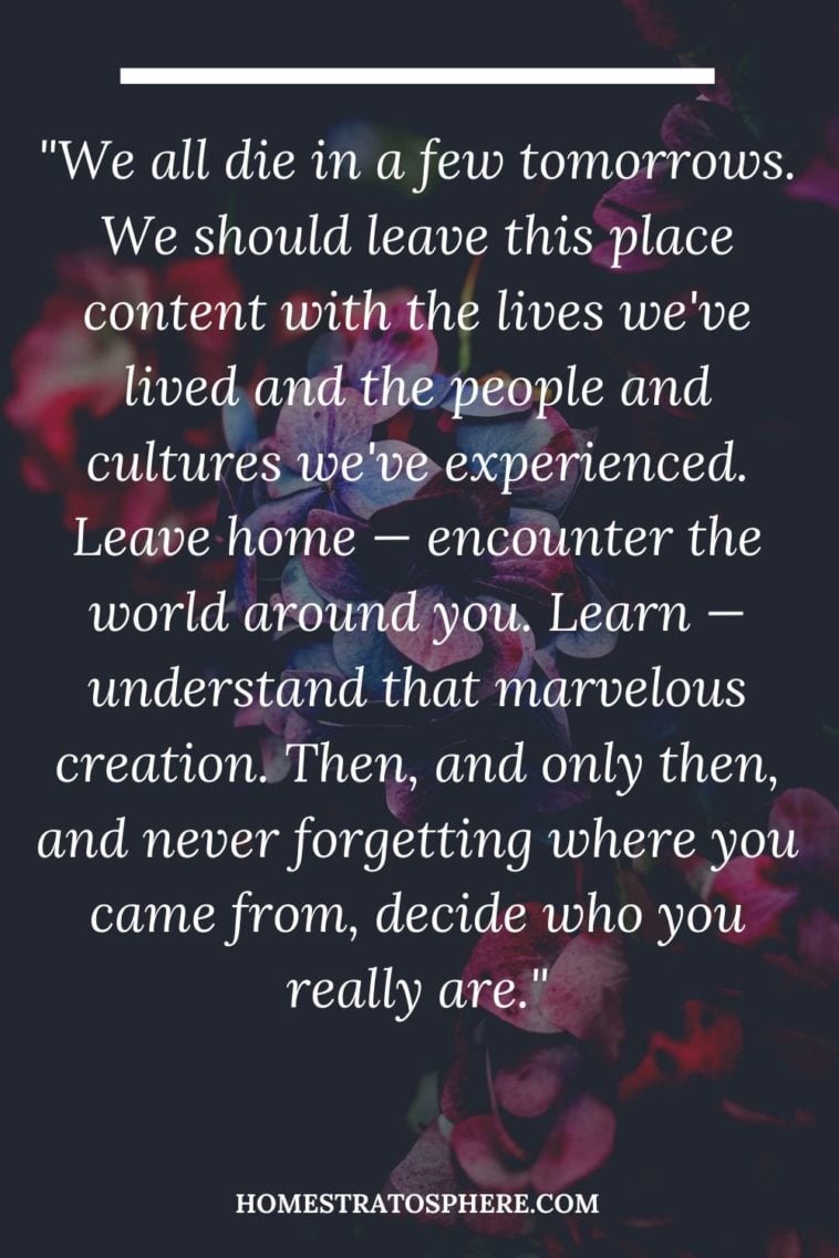 40 Heartfelt "Leaving Home" Quotes and Sayings