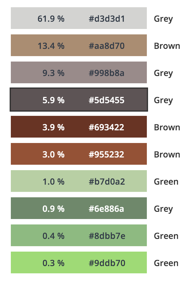 Transitional Kitchen/Dining Room Centrepiece Color Analysis