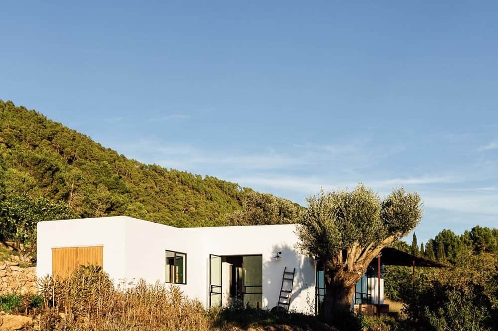 This is a home that has white adobe exterior walls that pair well with the surrounding lush landscaping and makes the windows and doors stand out.