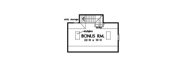 Bonus room floor plan with attic storage and a pair of skylights.