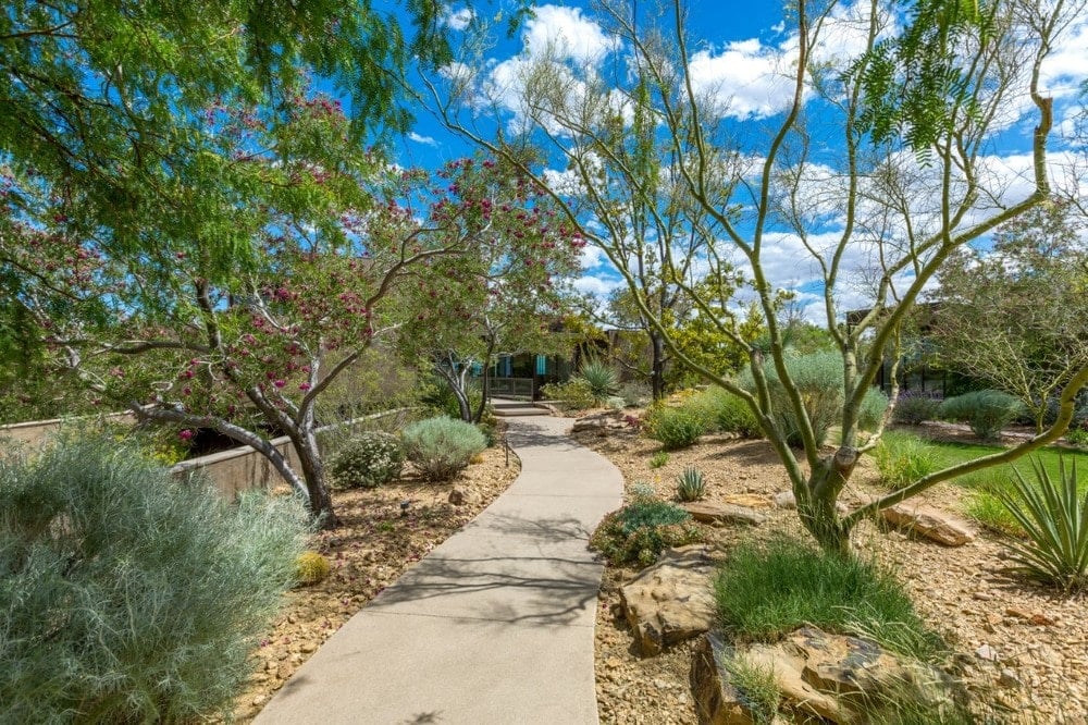 This is a close look at the landscaping surrounding the house. It has a desert-like oasis landscape feel to it traversed with concrete walkways. Image courtesy of Toptenrealestatedeals.com.