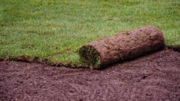 A look at a carpet of grass being installed onto the yard.