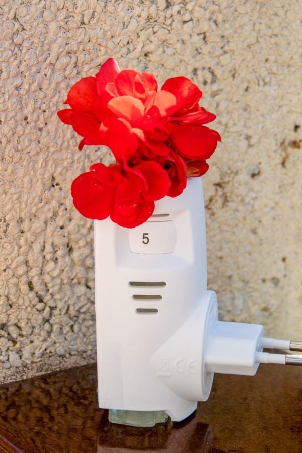 12 Different Types of Air Fresheners for Homes